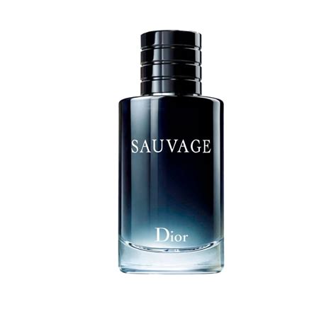 perfume para hombre sauvage de christian dior notas|sauvage de dior.